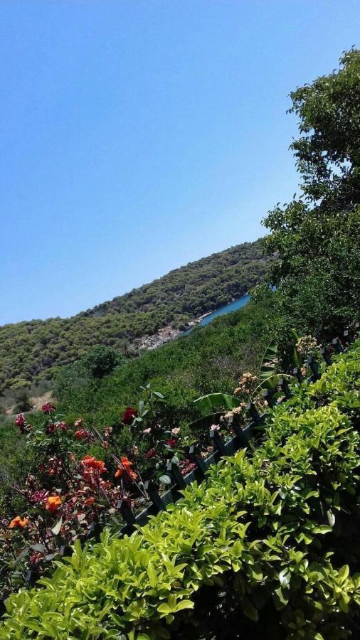 Hotel Marialena Epidaurus Экстерьер фото
