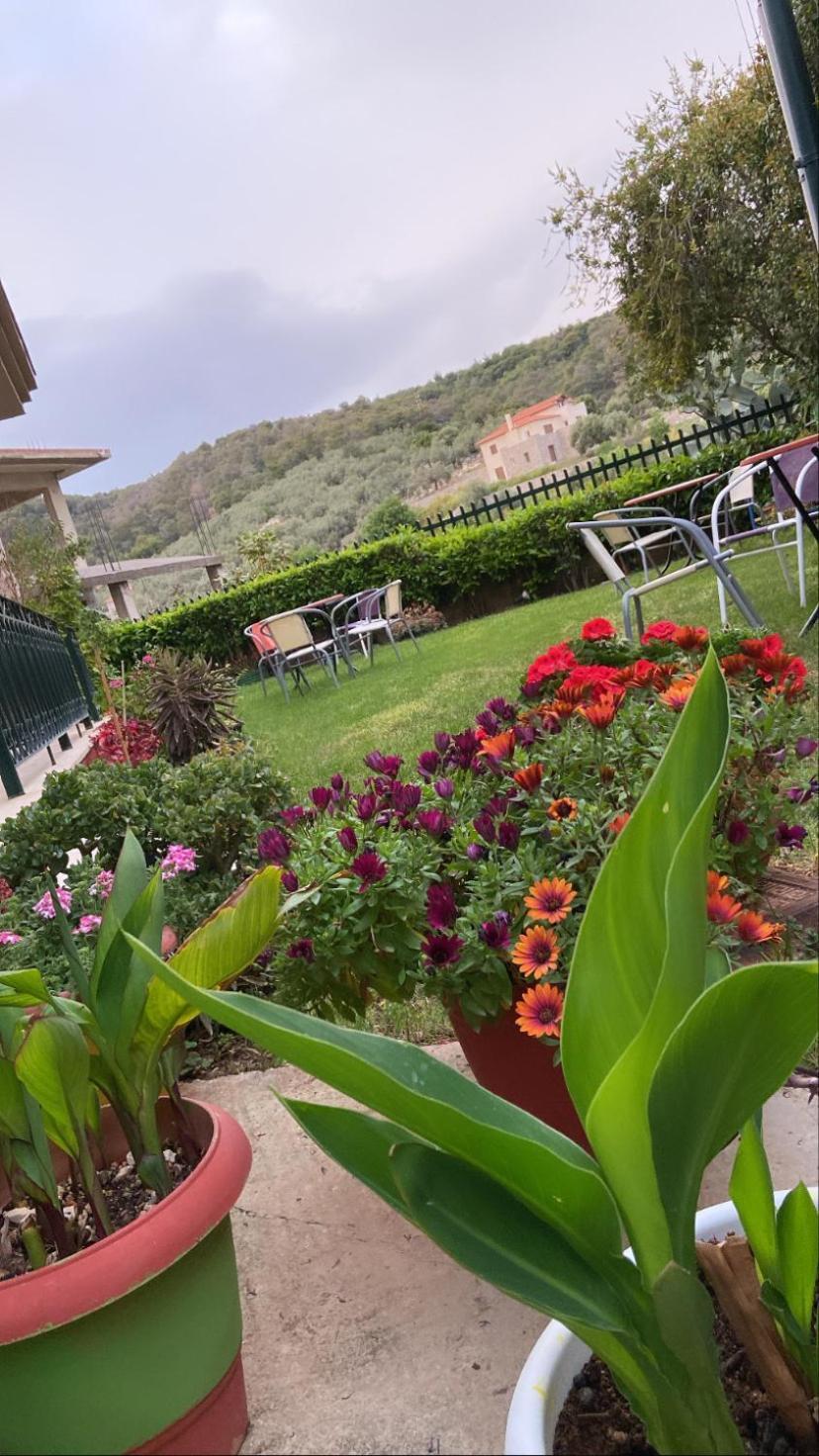 Hotel Marialena Epidaurus Экстерьер фото